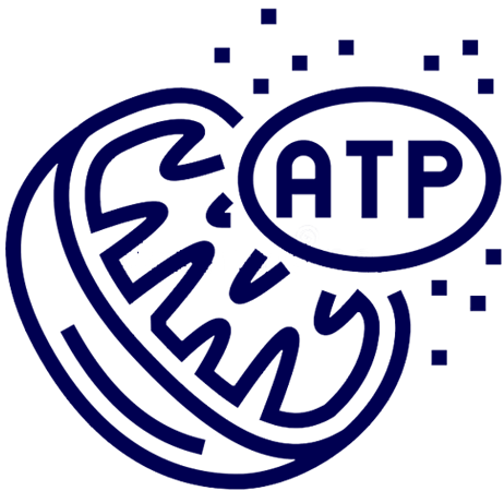 فرآیندهای زیستی