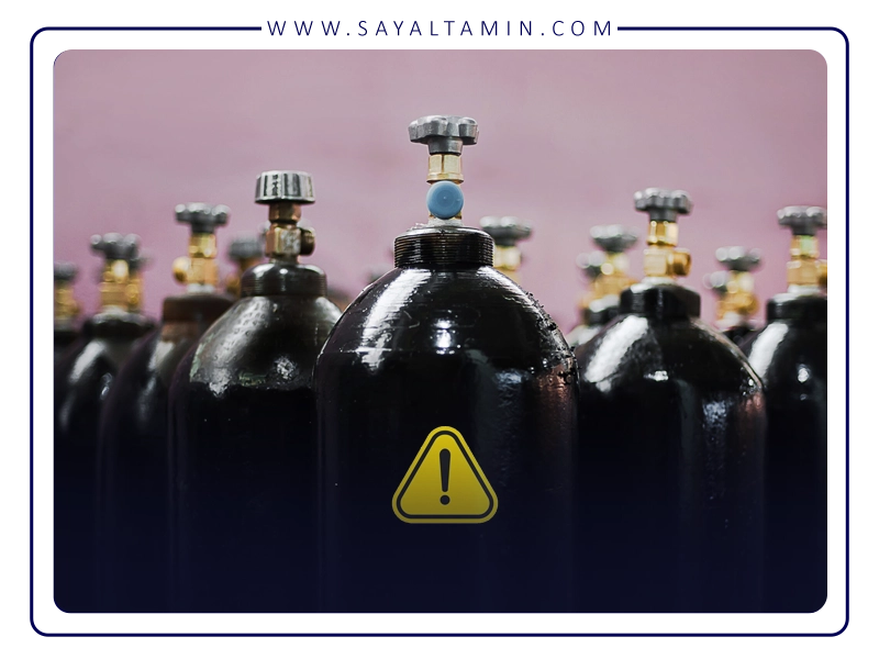 Critical Considerations for CO₂ Use in Food Processing