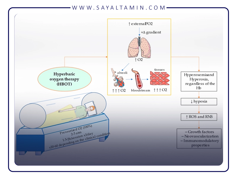 Mechanisms of oxygen action in hyperbaric conditions