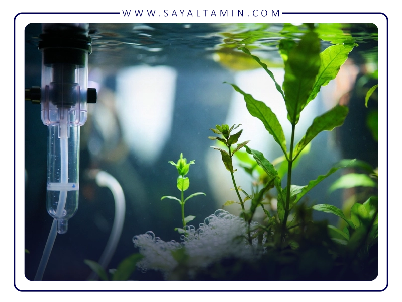 تاثیر نور و مواد مغذی بر کارایی CO₂